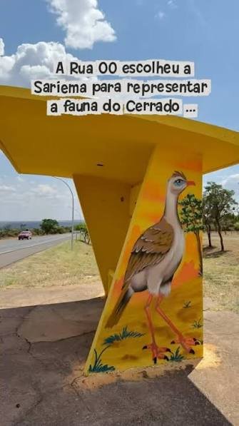 🌿🎨 ROTA POÉTICA DO CERRADO: LAGO OESTE TRANSFORMA PARADAS DE ÔNIBUS EM ARTE, POESIA E EDUCAÇÃO AMBIENTAL