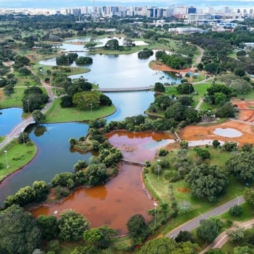 🌳🇧🇷 BRASÍLIA TEM MAIS ÁREAS VERDES DO QUE VOCÊ IMAGINA: ONDE ESTÃO OS REFÚGIOS NATURAIS DA CAPITAL?