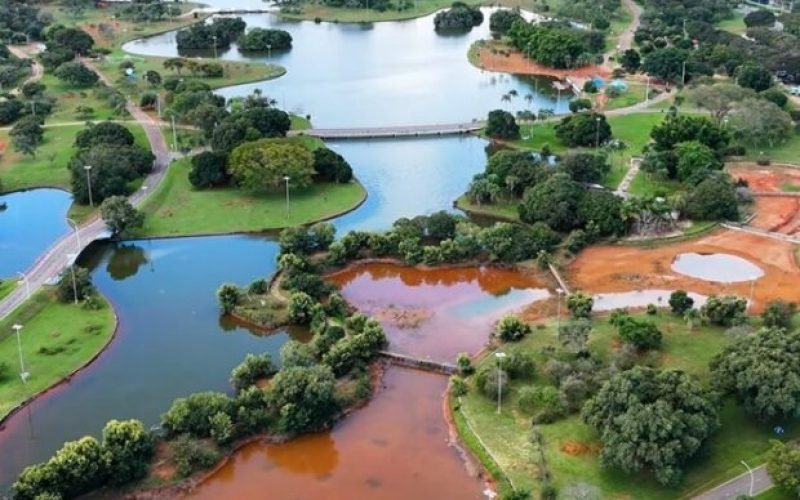 🌳🇧🇷 BRASÍLIA TEM MAIS ÁREAS VERDES DO QUE VOCÊ IMAGINA: ONDE ESTÃO OS REFÚGIOS NATURAIS DA CAPITAL?