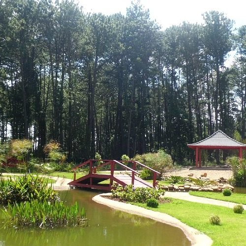 Jardim Botânico de Brasília: um oásis urbano para toda a família