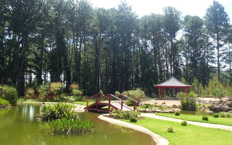 Jardim Botânico de Brasília: um oásis urbano para toda a família