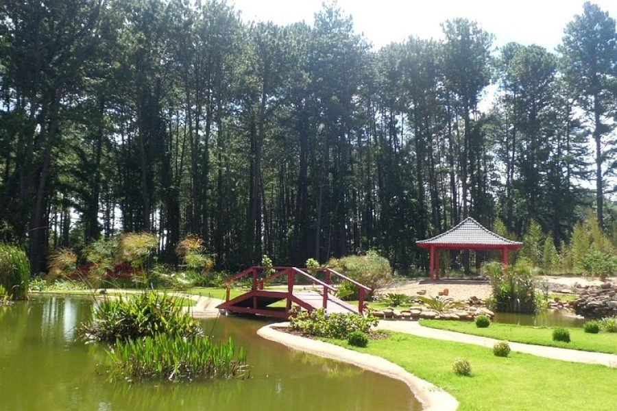 Jardim Botânico de Brasília: um oásis urbano para toda a família