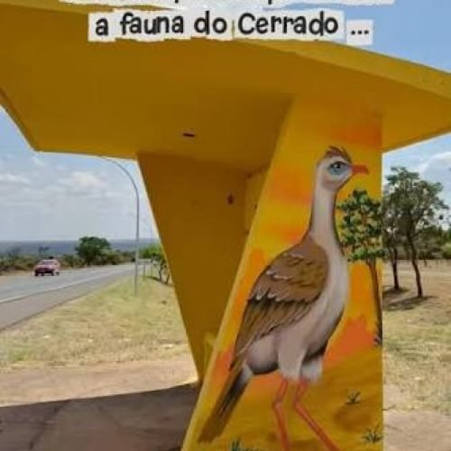 🌿🎨 ROTA POÉTICA DO CERRADO: LAGO OESTE TRANSFORMA PARADAS DE ÔNIBUS EM ARTE, POESIA E EDUCAÇÃO AMBIENTAL