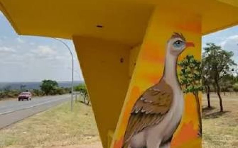 🌿🎨 ROTA POÉTICA DO CERRADO: LAGO OESTE TRANSFORMA PARADAS DE ÔNIBUS EM ARTE, POESIA E EDUCAÇÃO AMBIENTAL